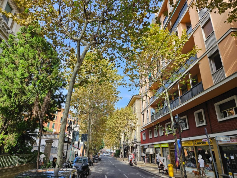 corso Garbald
