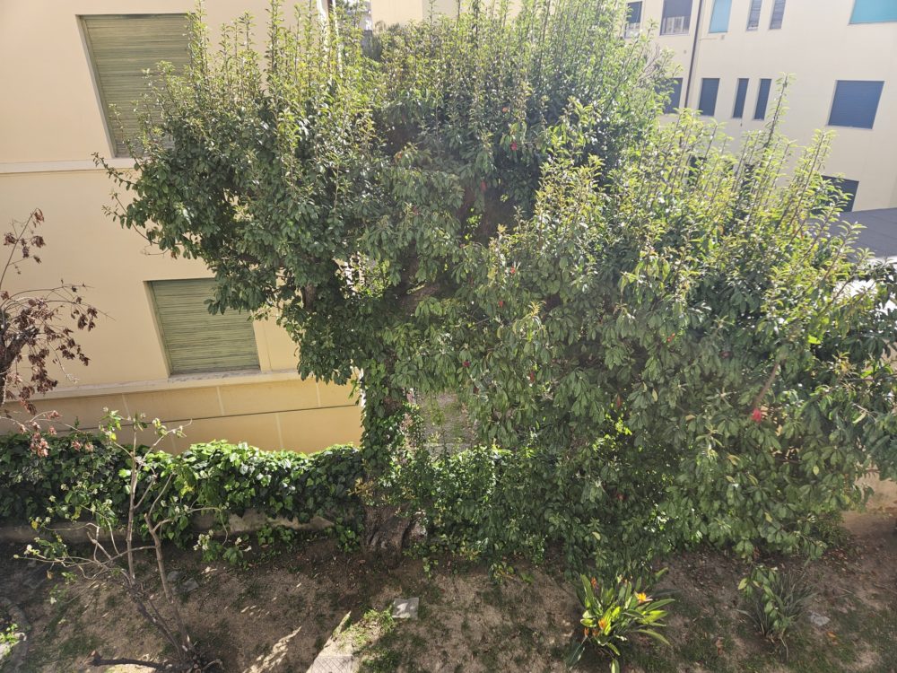 20260415_095642