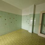 WhatsApp Image 2026-04-13 at 10.27.57 (2)